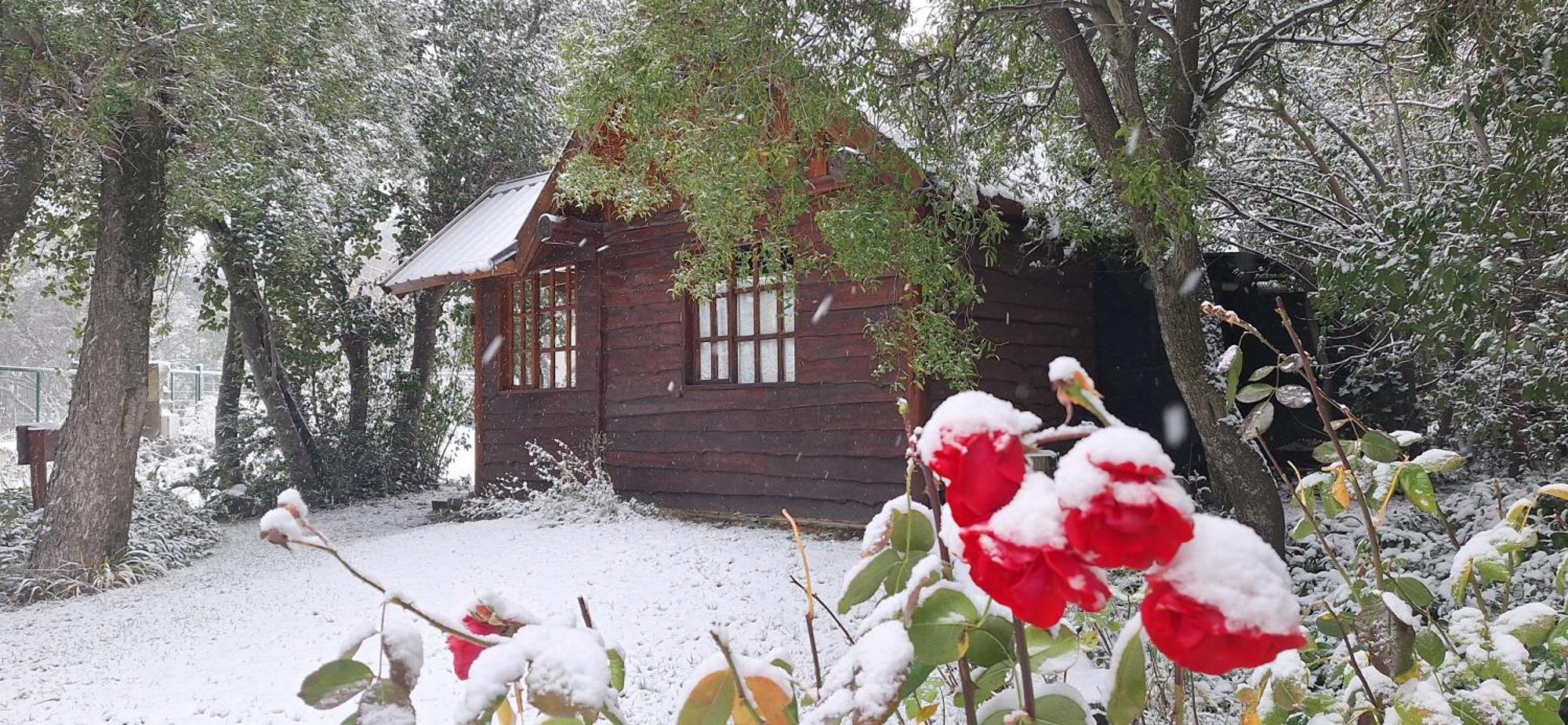 De Las Rosas Bariloche Exterior photo